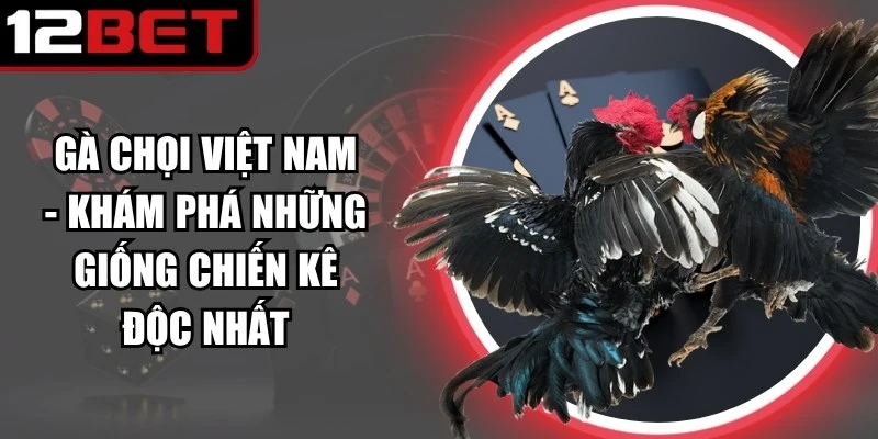 Gà Chọi Việt Nam